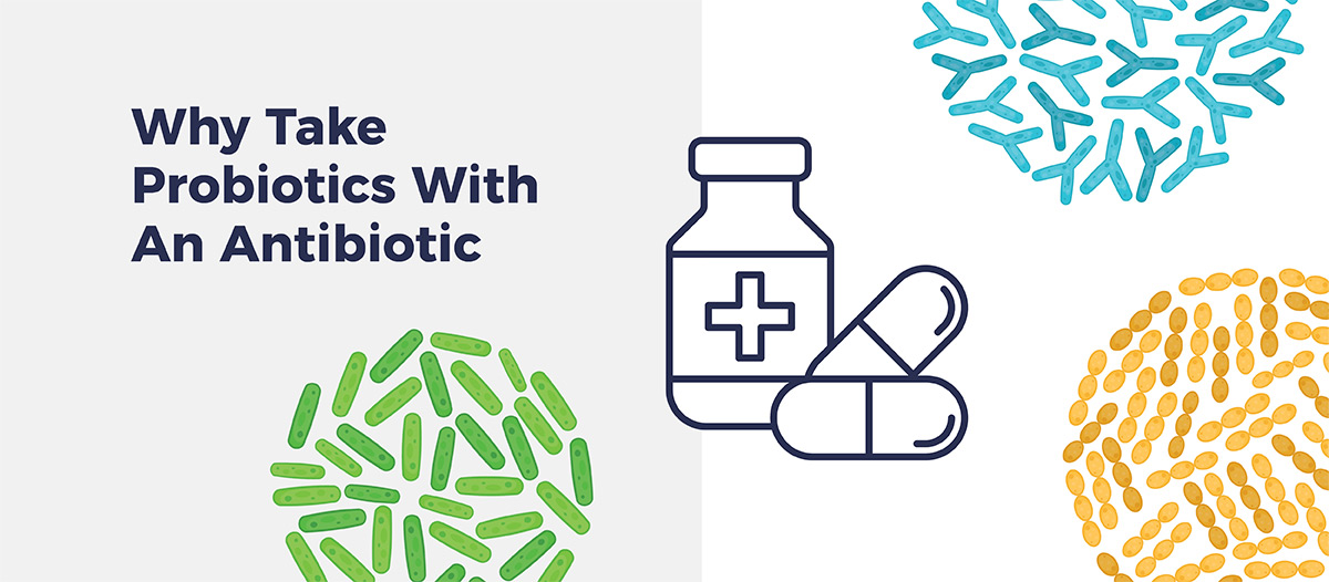 Simple graphic depicting a bottle of antibiotics surrounded by different colored illustrations of bacteria. Text says: "Why take probiotics with an antibiotic"
