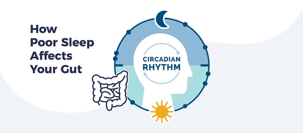 Illustration of the Circadian Rhythm with an illustration of the digestive system next to it. Text reads "How poor sleep affects your gut"