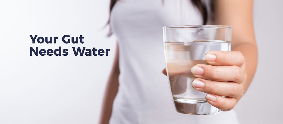 Your Gut Needs Water